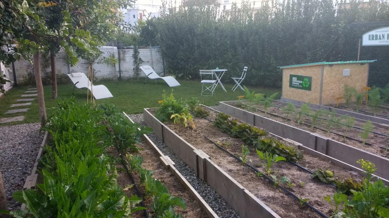 Masseria Urbana 크리스피아노 외부 사진