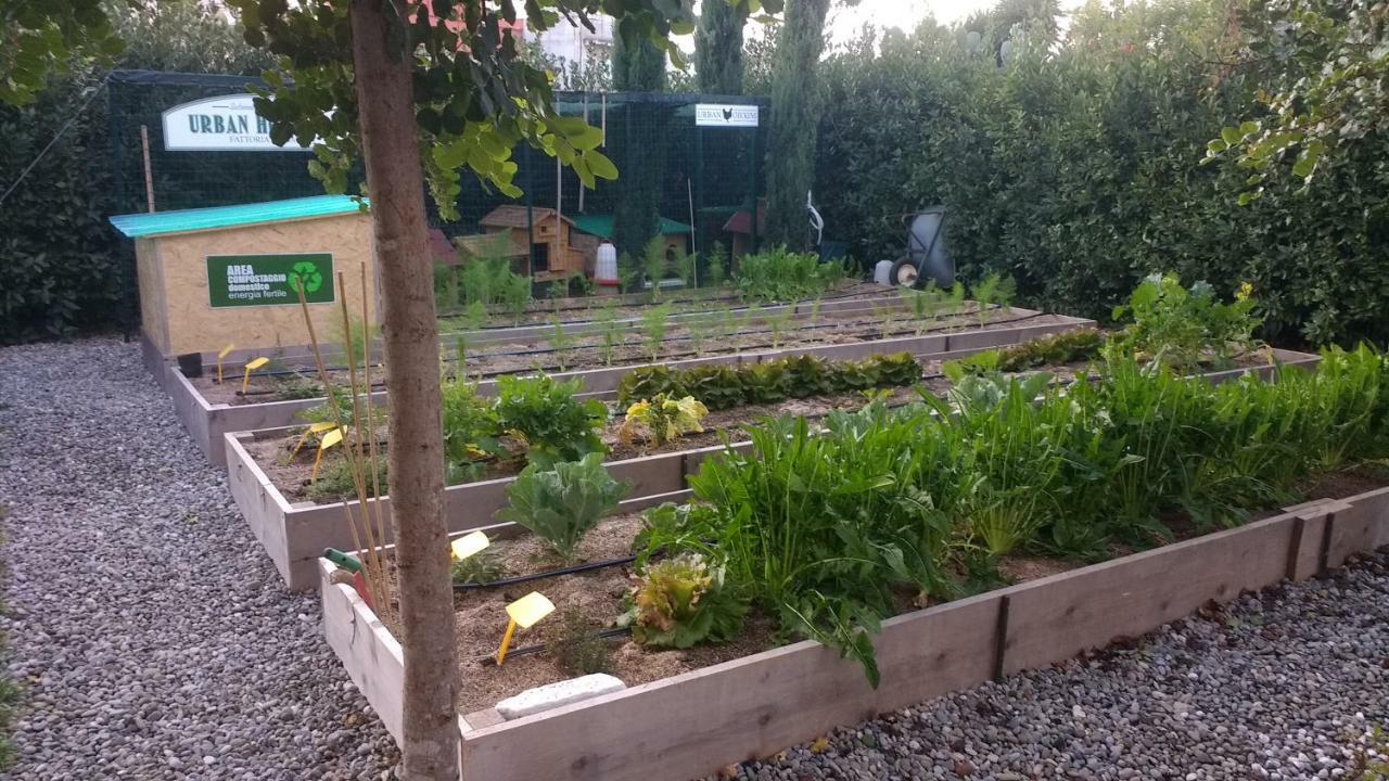 Masseria Urbana 크리스피아노 외부 사진